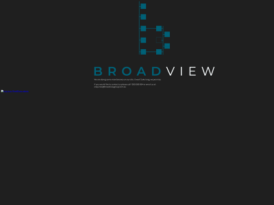 broadviewgroup.com.au snapshot