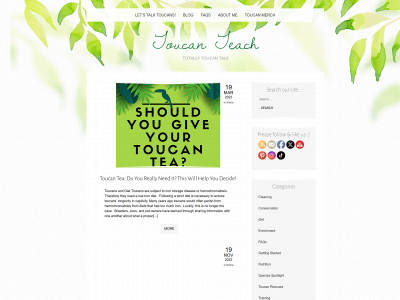 toucan-teach.com snapshot