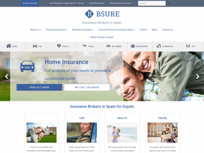 bsureinsurance.com snapshot