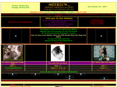 sirrics.com snapshot