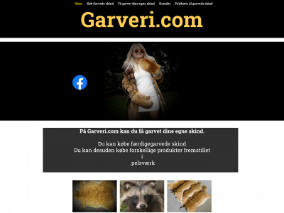 garveri.com snapshot