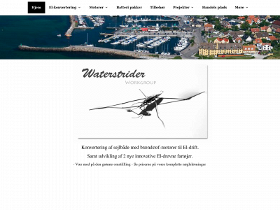 waterstrider.dk snapshot