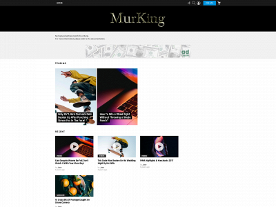 murking.com snapshot