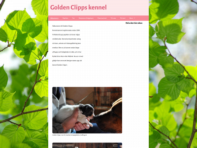 goldenclipps.se snapshot