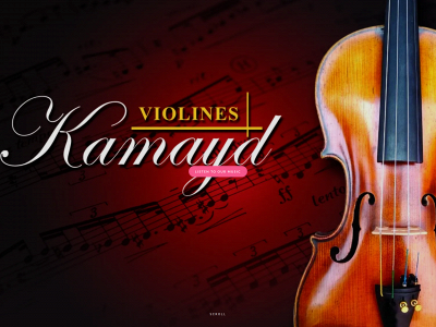 violineskamayd.com snapshot