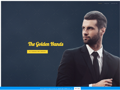 the-golden-hands.no snapshot