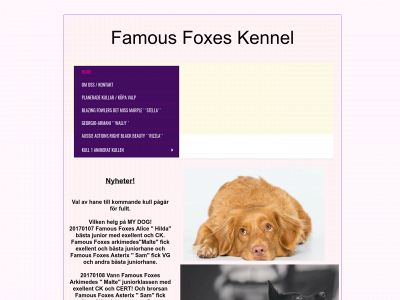 famousfoxes.se snapshot