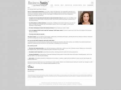 business-sanity.com snapshot