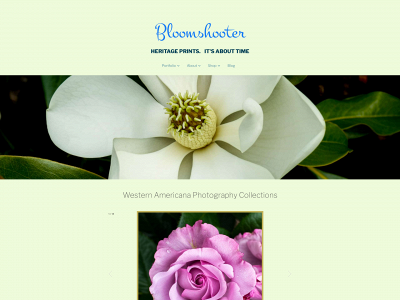 bloomshooter.com snapshot