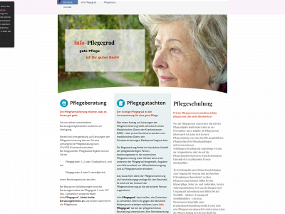 info-pflegegrad.de snapshot
