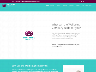wellbeingcompanyni.co.uk snapshot