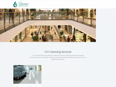tcfcleaningservices.co.nz snapshot