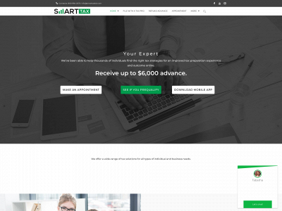 smarttaxbiz.com snapshot
