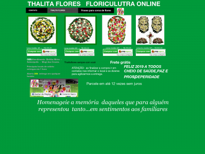 thalitaflores.com.br snapshot
