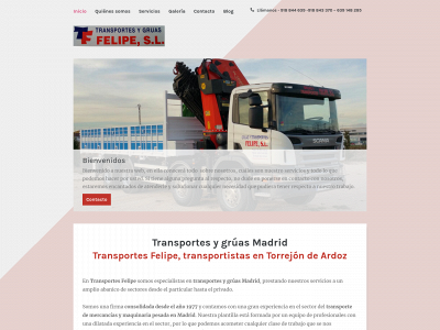 transportesfelipe.es snapshot