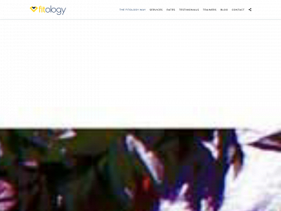 thefitologyway.com snapshot