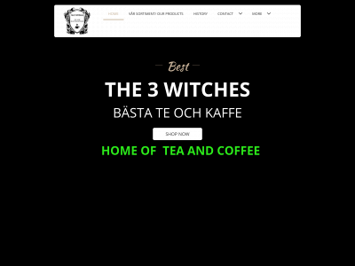 the3witches.com snapshot