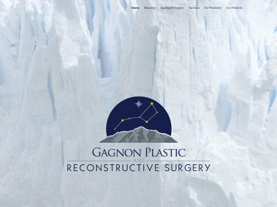 gagnonplasticsurgery.com snapshot