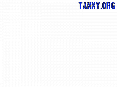 tanny.org snapshot