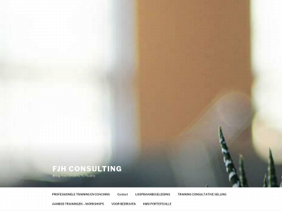 fjh-consulting.be snapshot