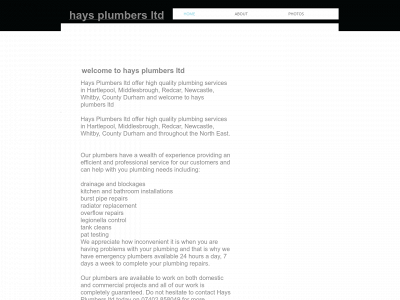 haysplumbers-ltd.uk snapshot