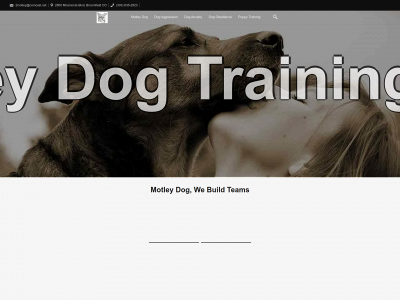 motleydogtraining.com snapshot