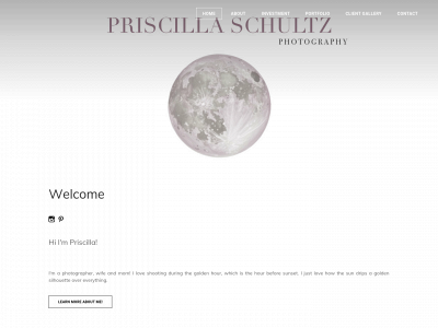 www.priscillaschultz.com snapshot