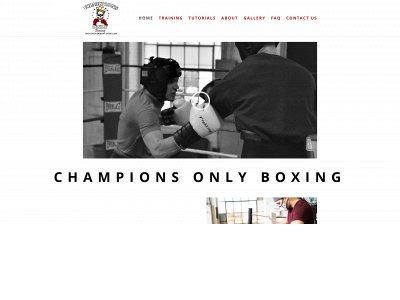 championsonlyboxing.com snapshot