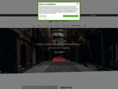 insightspotter.com snapshot