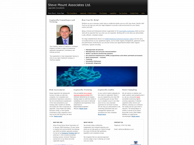 stevemountassociates.com snapshot