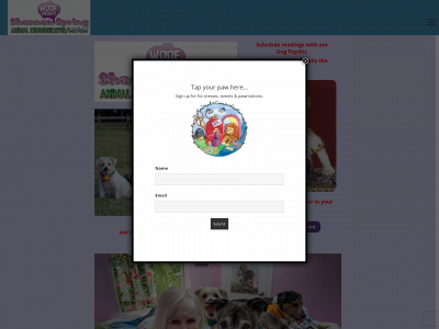 shannonspring.com snapshot