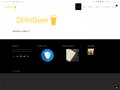 diynbeer.com snapshot