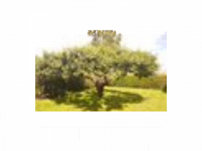 carlstedt.one snapshot