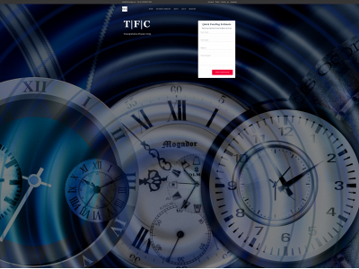 tfcfactoring.com snapshot
