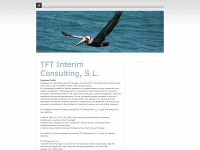 tft-consulting.com snapshot