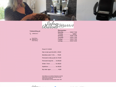 salonbulow.dk snapshot