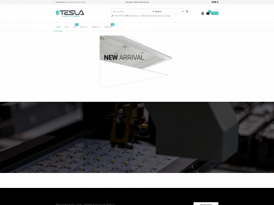 tesla-eg.com snapshot
