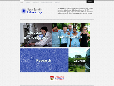 sarasandinlab.com snapshot