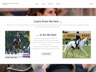 bettinahoytraining.weebly.com snapshot