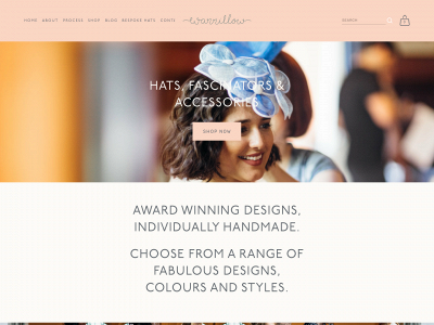 warrillowstudio.com snapshot