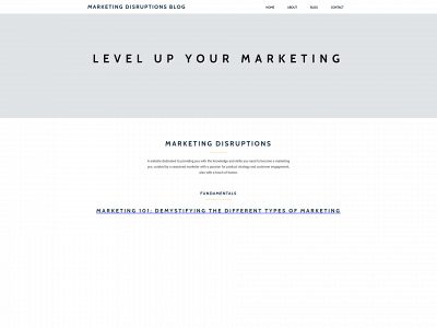 marketingdisruptions.com snapshot