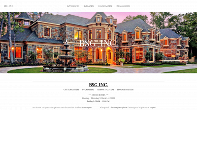 bsg-inc.biz snapshot