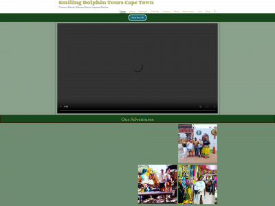 smilingdolphintours.com snapshot
