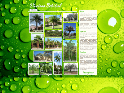 viveirossetubal.com snapshot