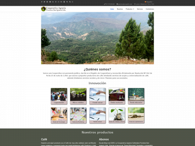 coopafsi.com snapshot