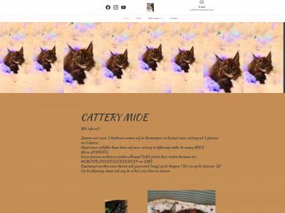 cattery-mioe.be snapshot