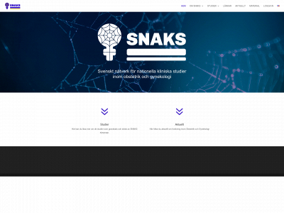 snaks.se snapshot