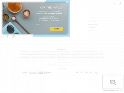 wellnoon.com snapshot
