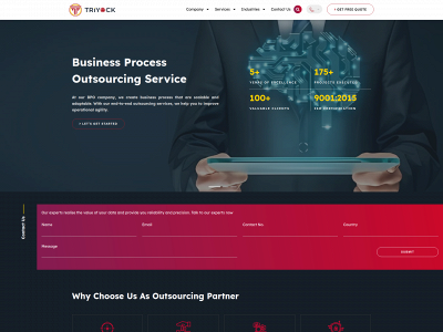 triyock.com snapshot