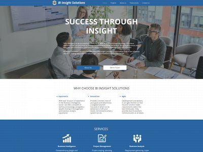 biinsight.co.uk snapshot